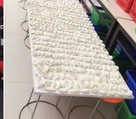 冬至來臨，公司員工一起來包＂扁食＂